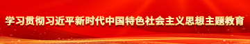 日吊啊啊啊逼污18学习贯彻习近平新时代中国特色社会主义思想主题教育